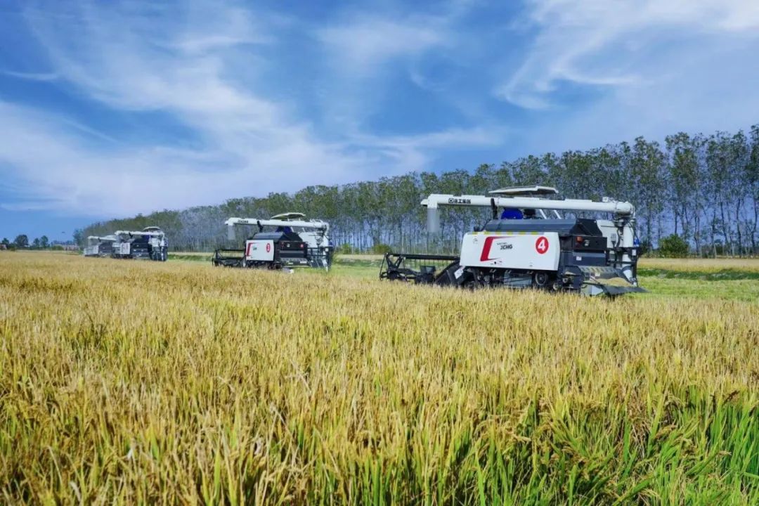 888电子(中国游)有限公司官网